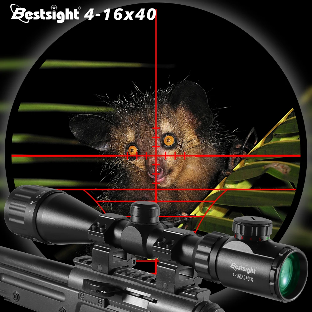S49c723e901564e8b9a5f58b2e57b5c2d7-1.webp
