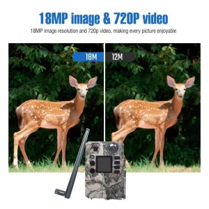 S8b92dff416bc4ebea4d20813f77cb400M.webp